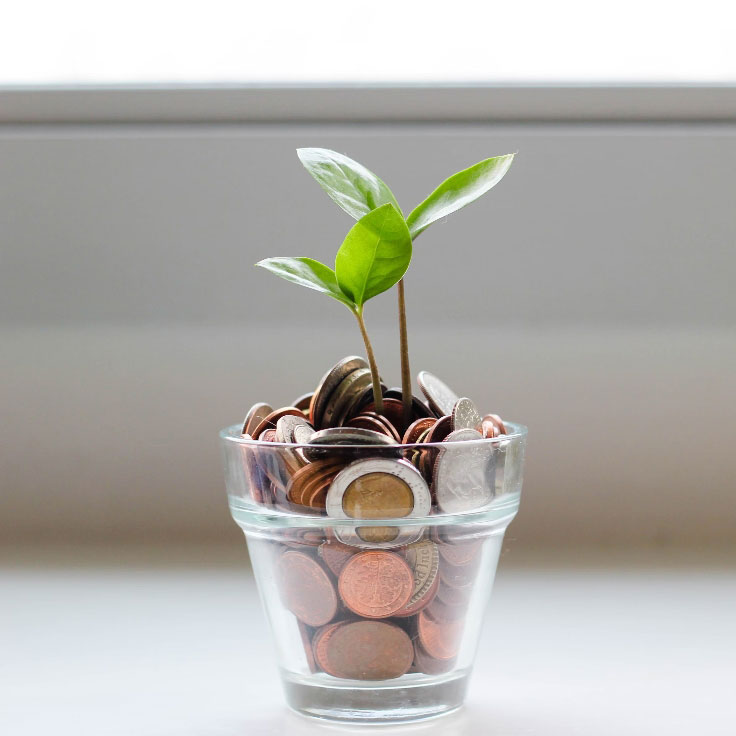 Plant growing out of pot filled with coins